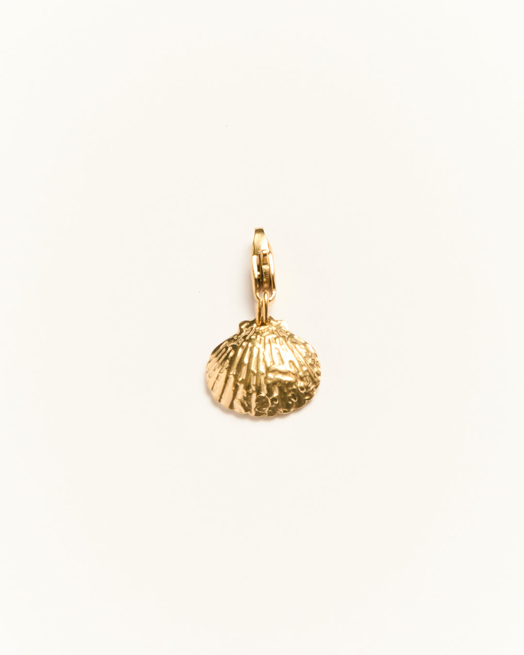 Textured Seashell - Charm - Palas