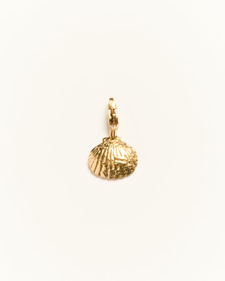Textured Seashell - Charm - Palas