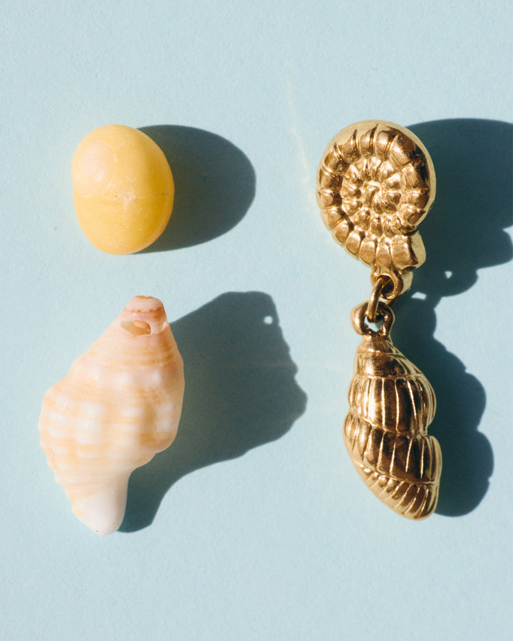 Crustacé - Boucles d&