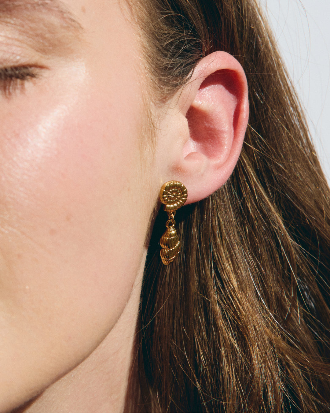 Crustacé - Boucles d&
