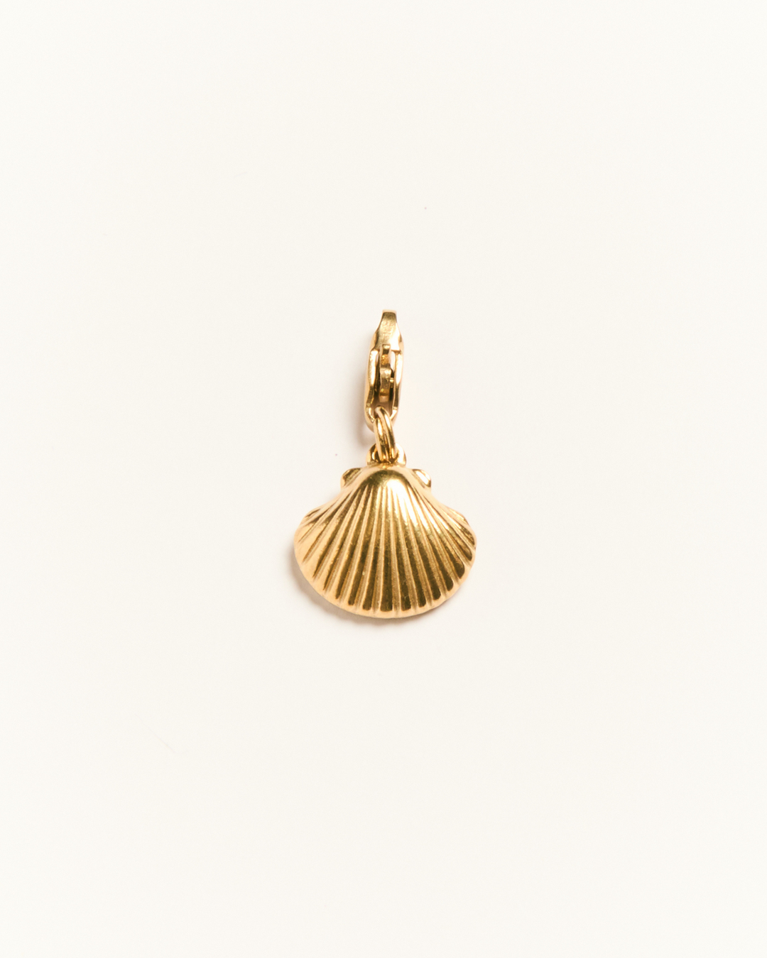 Seashell - Charm - Palas