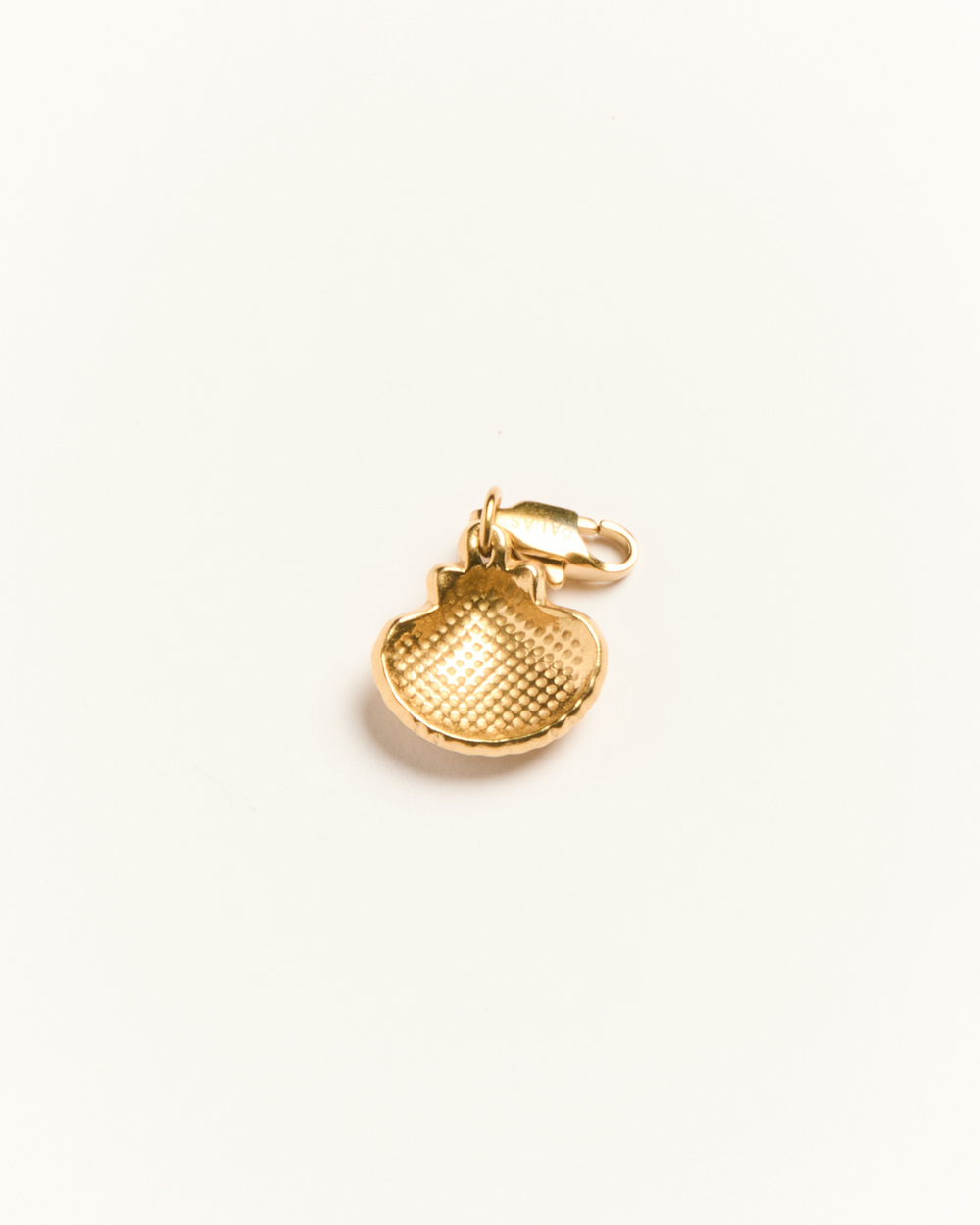 Seashell - Charm - Palas