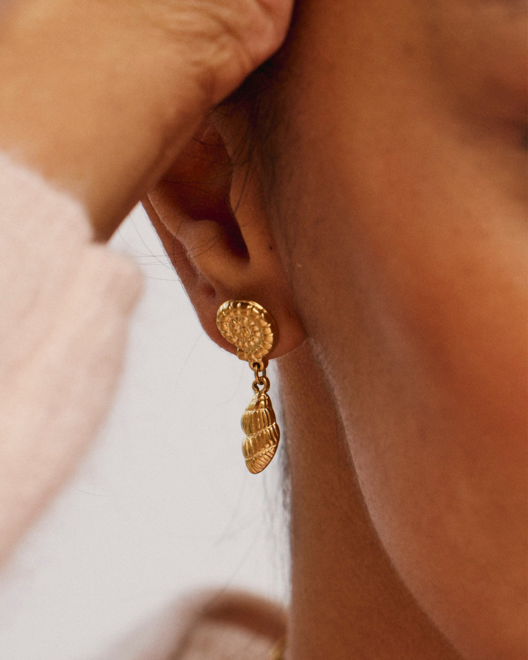 Crustacé - Boucles d&