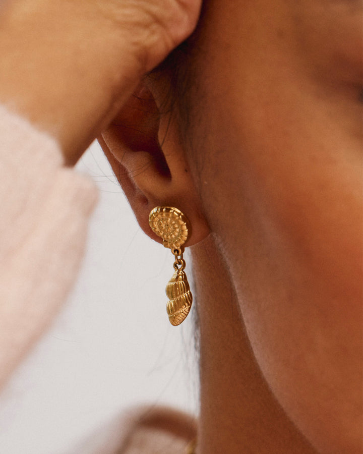 Crustacé - Boucles d&