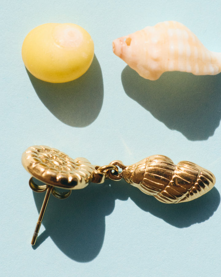 Crustacé - Boucles d&