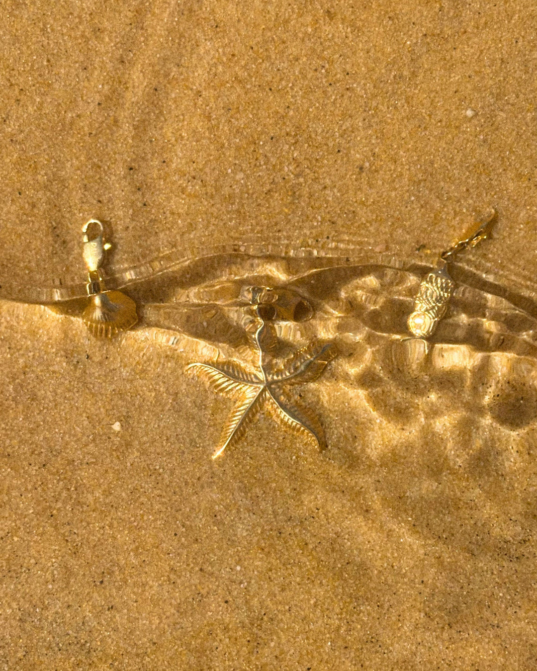 Mini Seashell - Charm - Palas