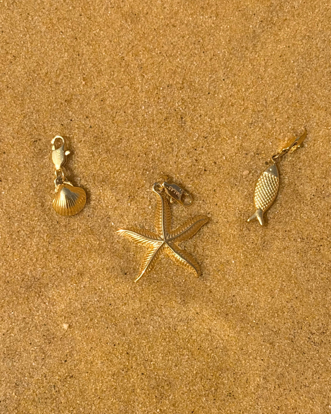 Mini Seashell - Charm - Palas