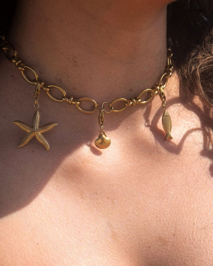 Asterias - Charm - Palas