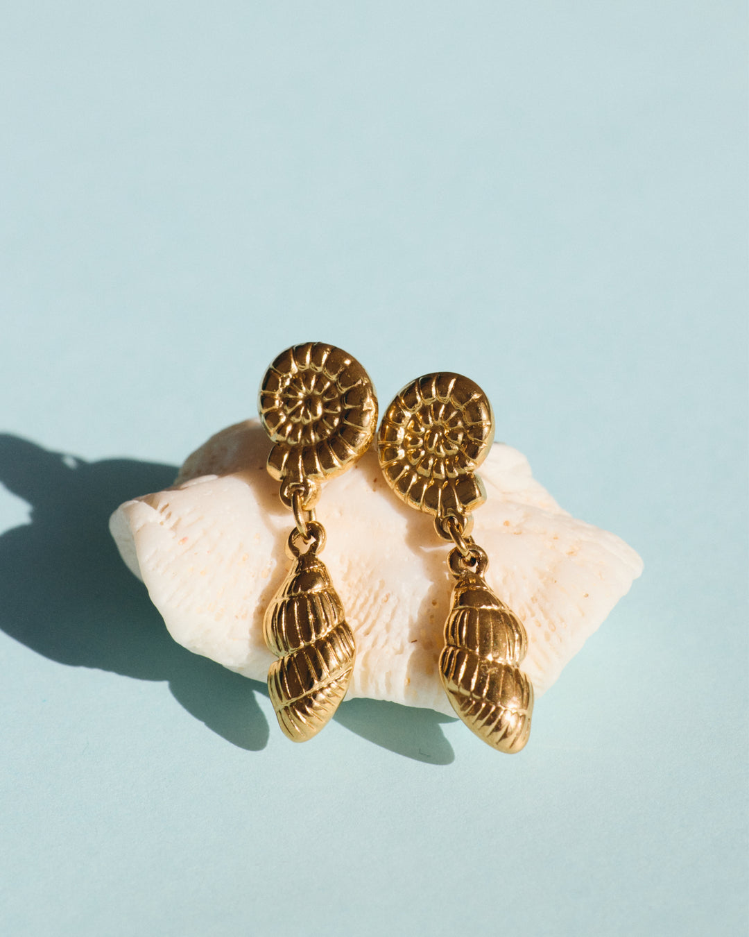 Crustacé - Boucles d&