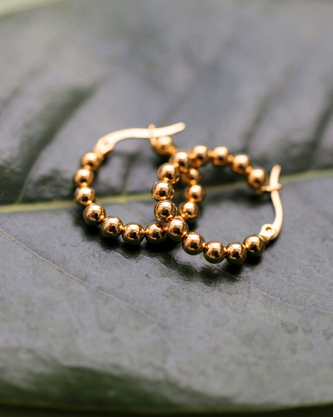 Celestine Hoop Earrings - Palas