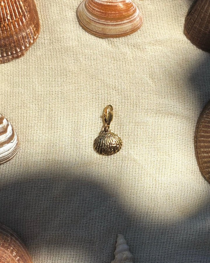 Textured Seashell - Charm - Palas