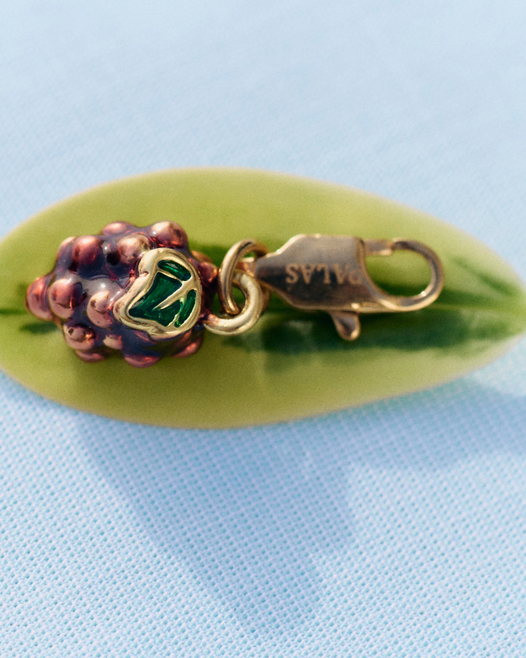 Grapes - Charm - Palas