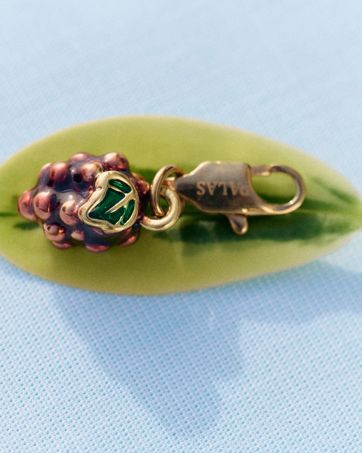 Grapes - Charm - Palas