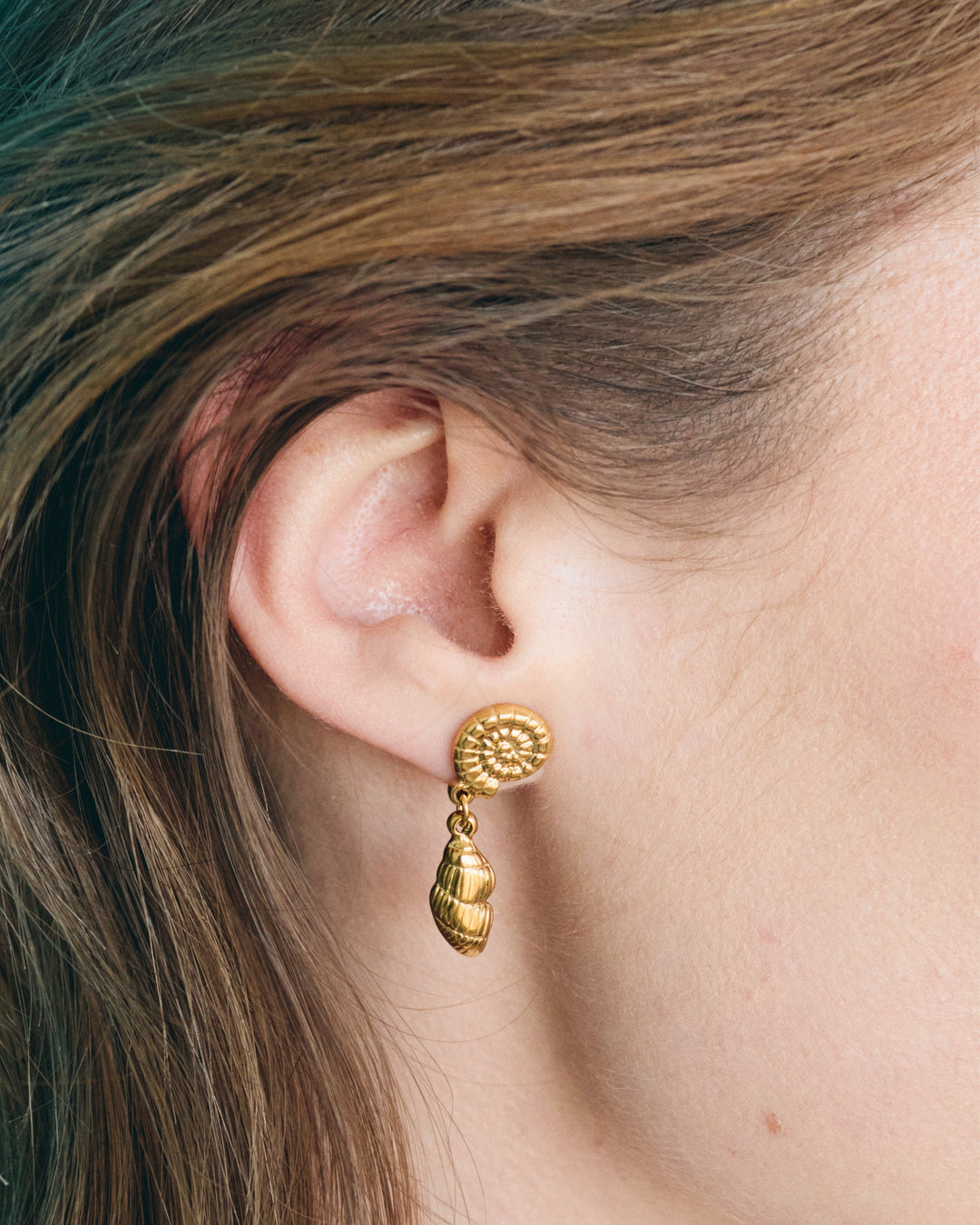 Crustacé - Boucles d&